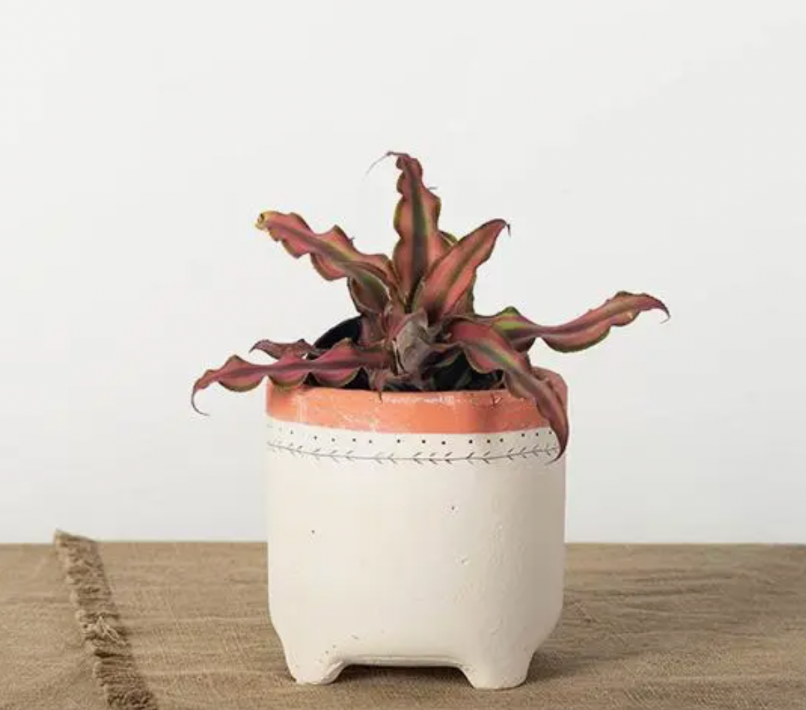 Cream Footed Pot