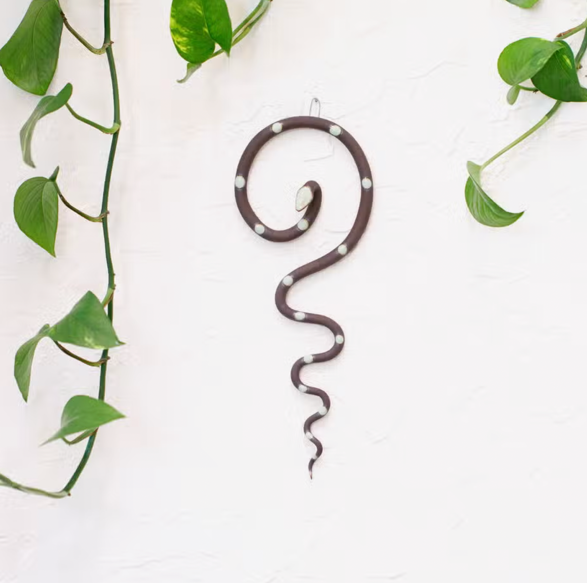 Wall Snake