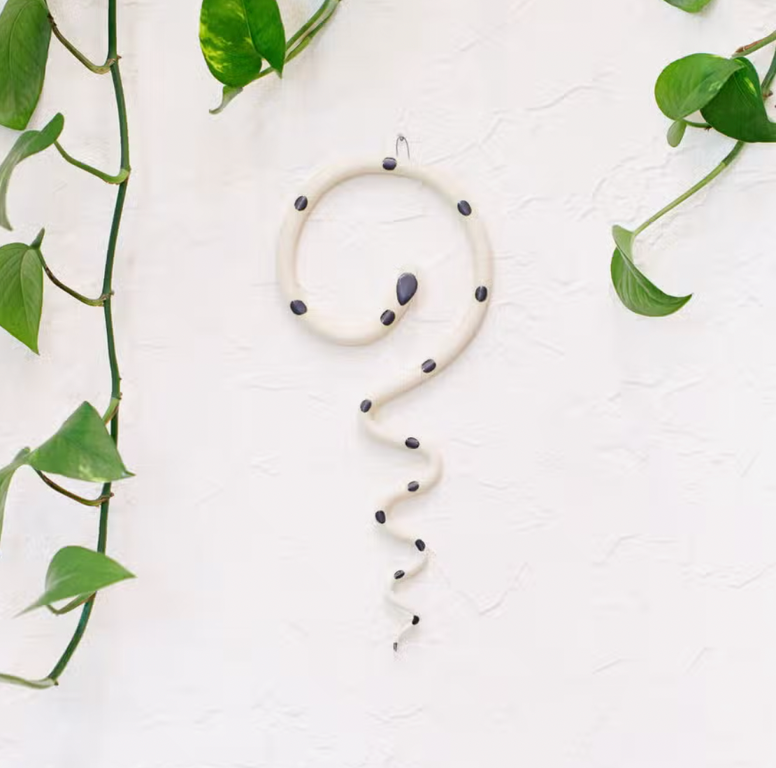Wall Snake