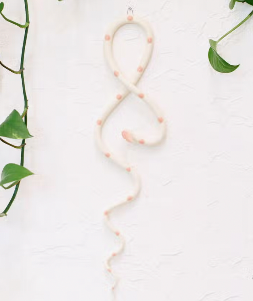 Wall Snake