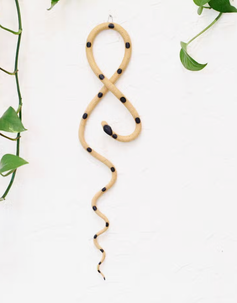 Wall Snake