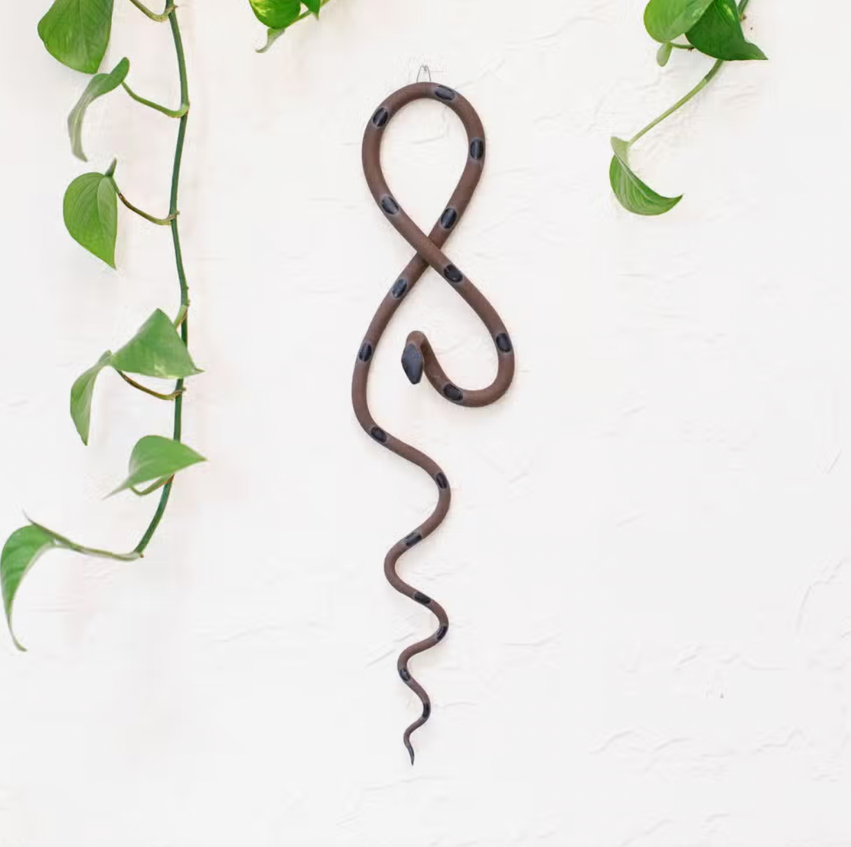 Wall Snake