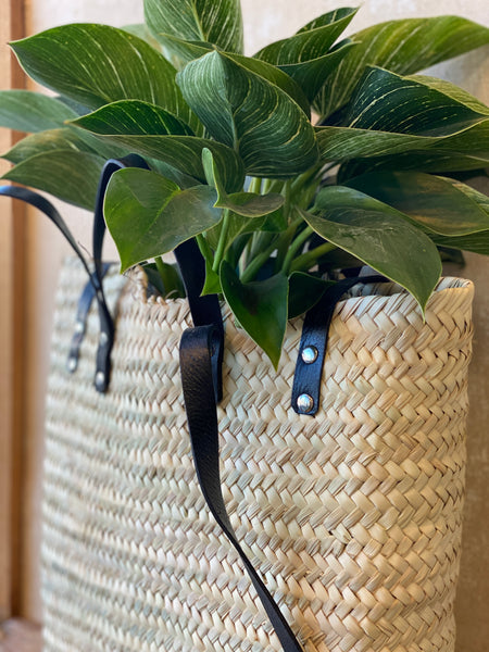 Market BackPack