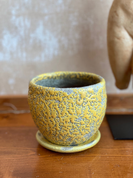 Canary Pot