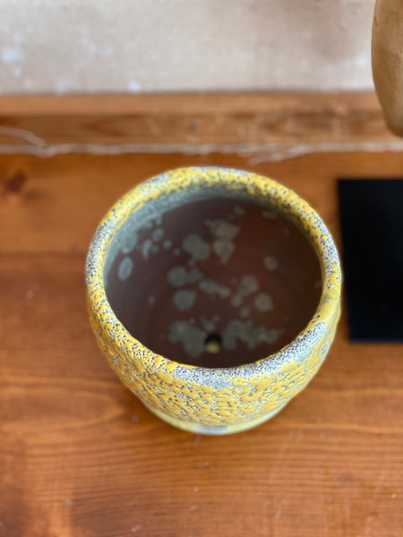 Canary Pot